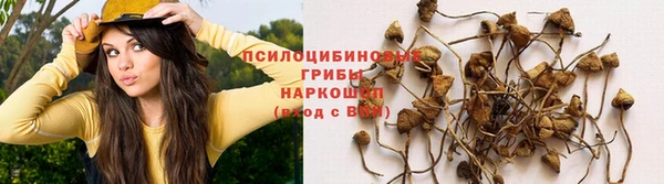 марки lsd Абаза
