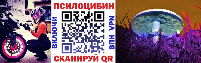 Галлюциногенные грибы Cubensis  Салават 