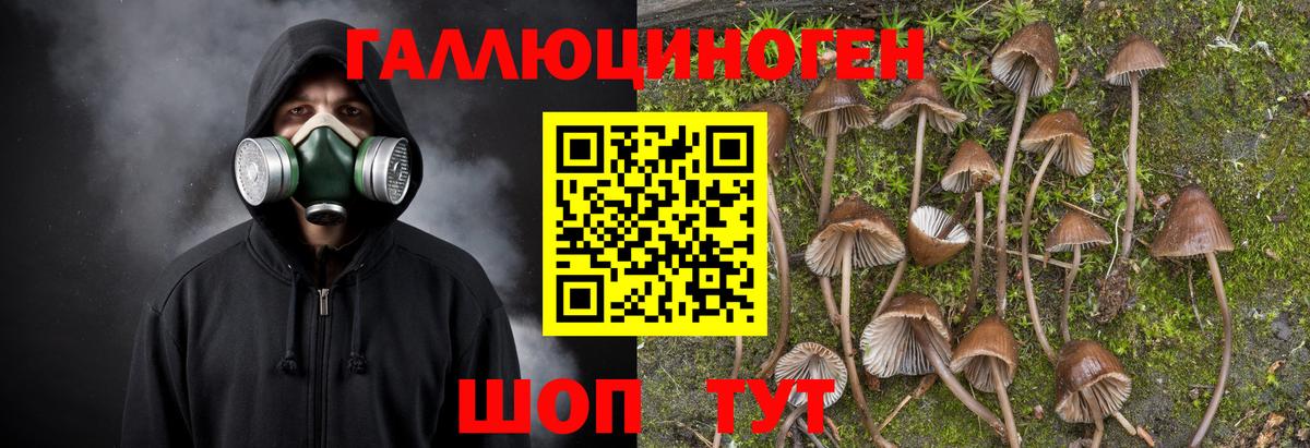 где купить   Вход с VPN  Салават  Галлюциногенные грибы Cubensis 
